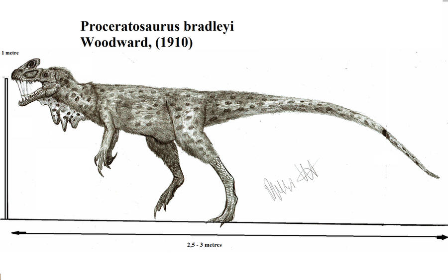 proceratosaurus_bradleyi_by_teratophoneus-d54jfz0.jpg