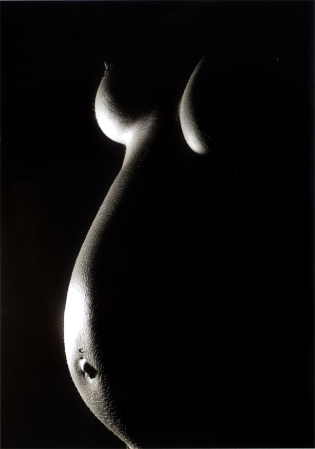 Pregnant Women In Art 47