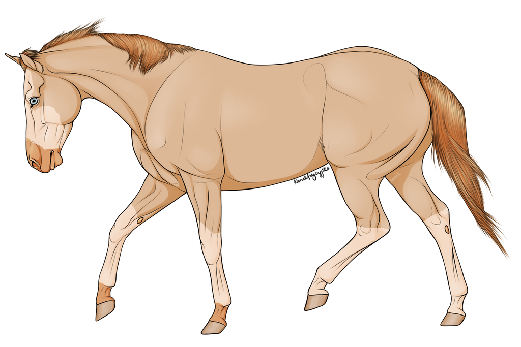arris_backup_mare_by_rella_adopts-darqi4s.png
