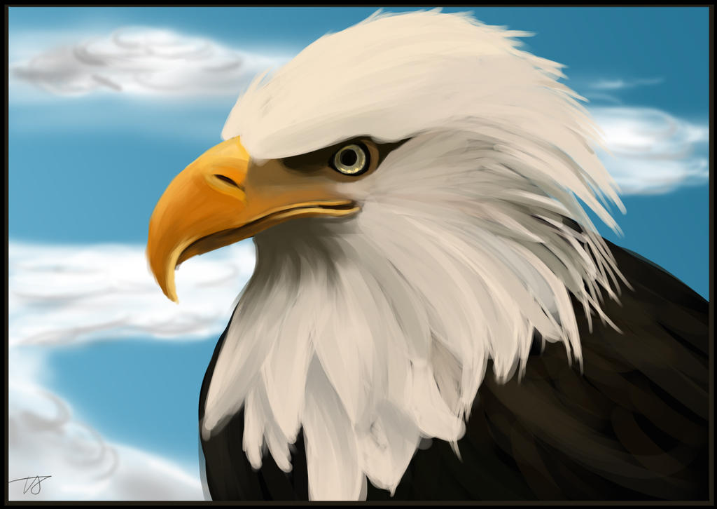 Eagle Realistic drawing Prac by chocogingerfingers on