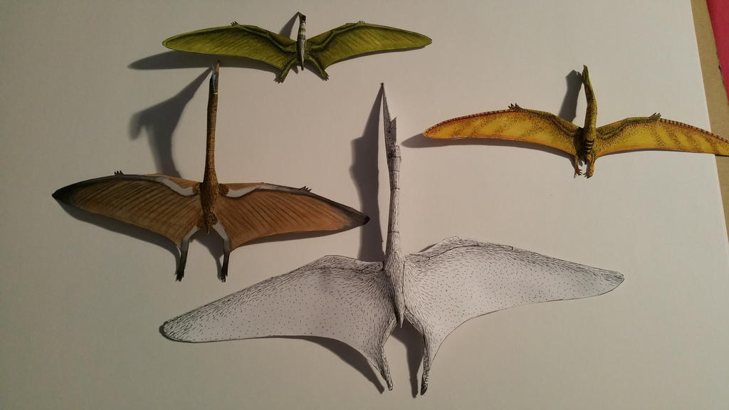 pterosaur_comparison_4_by_spinosaurus1-d8pbg9t.jpg