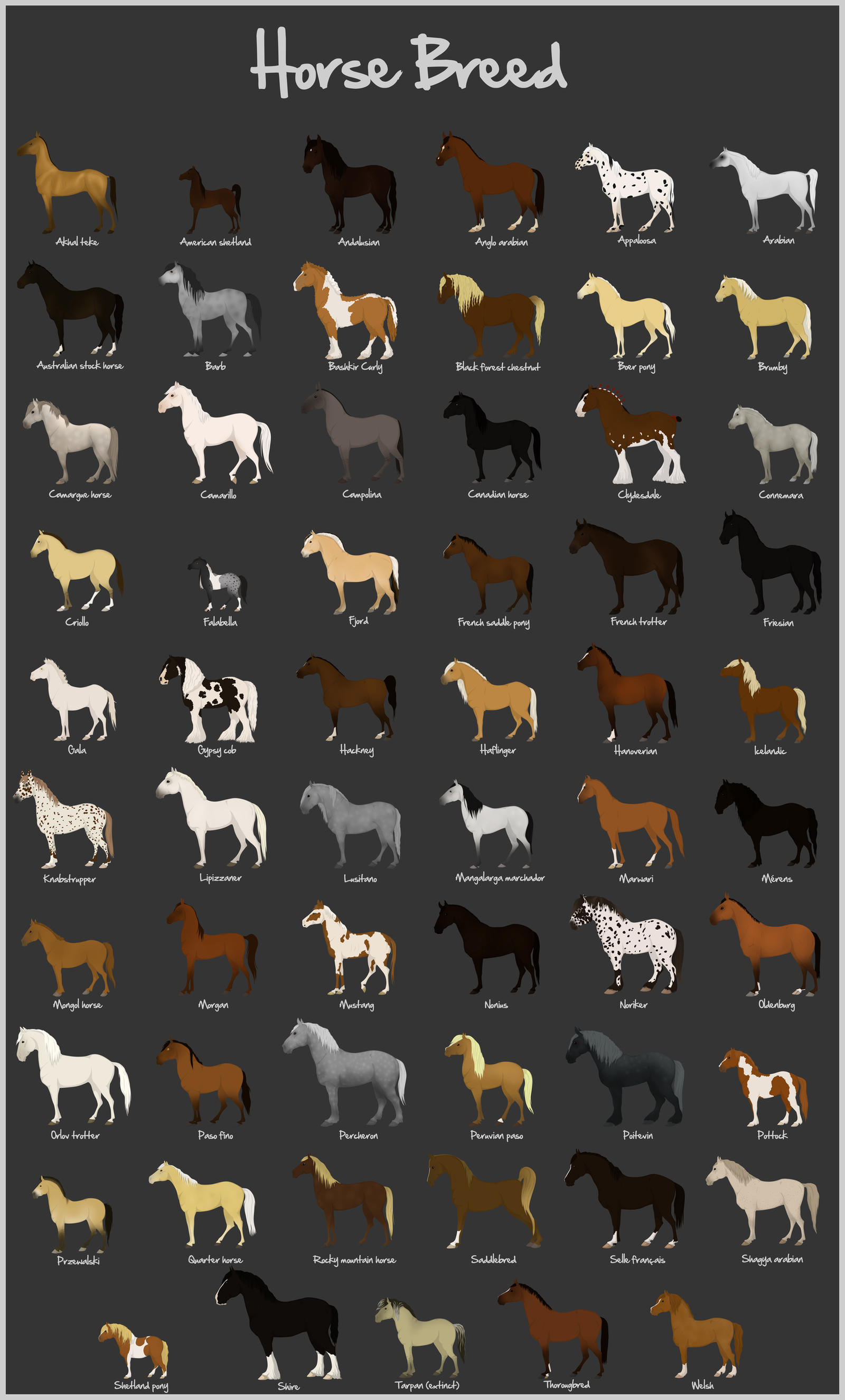 Horse Breed by Citron--Vert