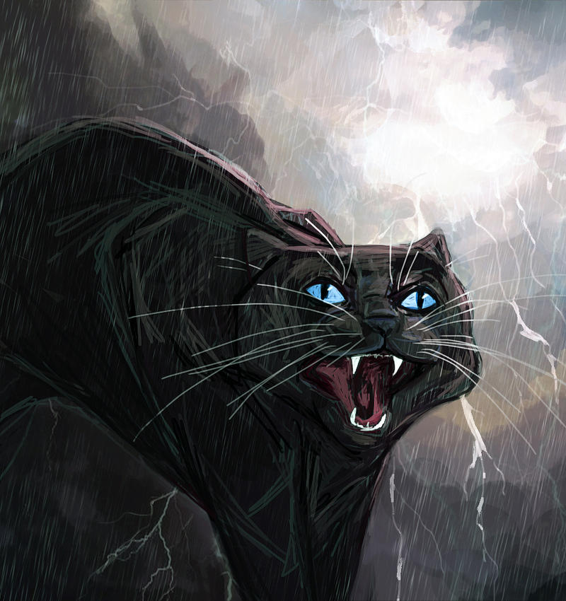 Crowfeather's Storm by Ospreyghost13