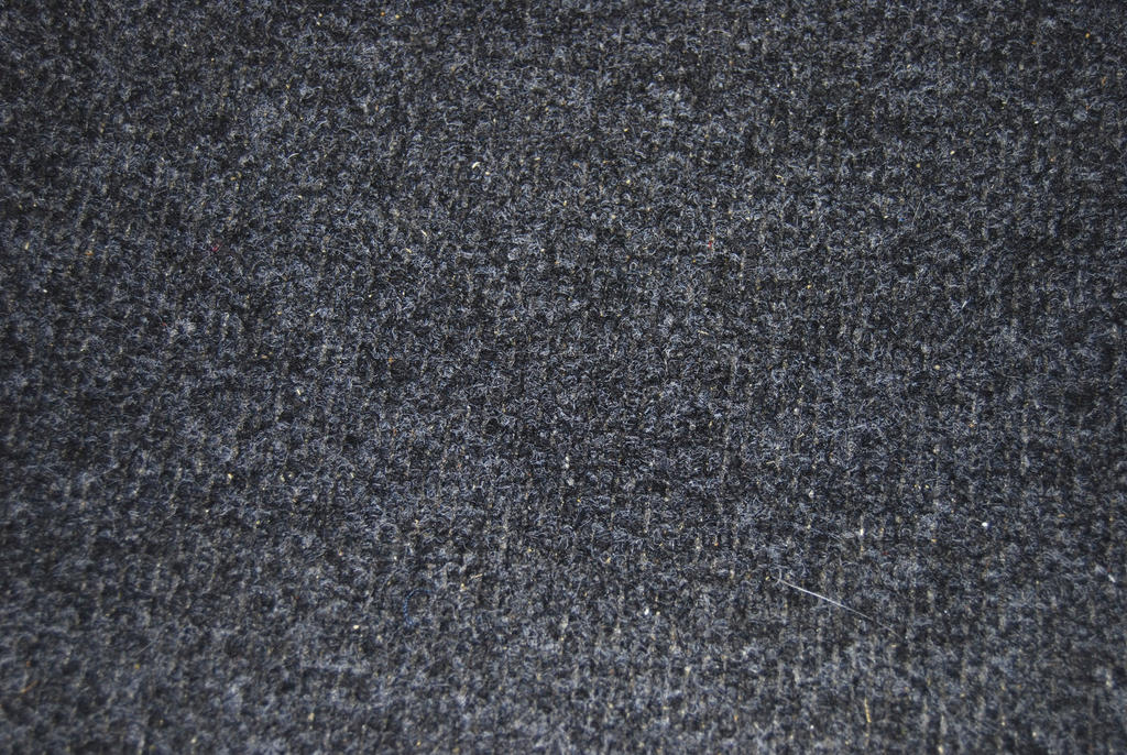 carpet_texture_by_she_sinsstock.jpg
