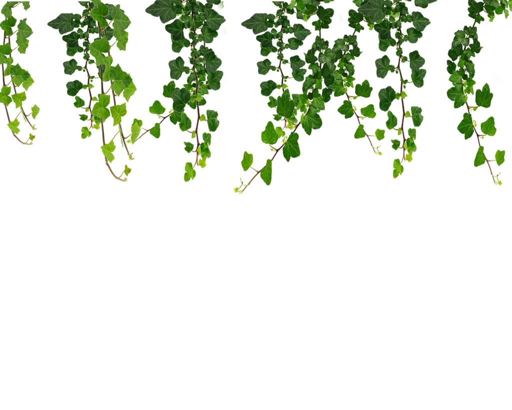 free clip art leaves and vines - photo #37