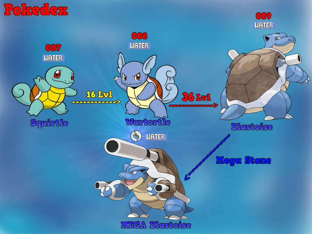 What Level Does Squirtle Evolve At 41